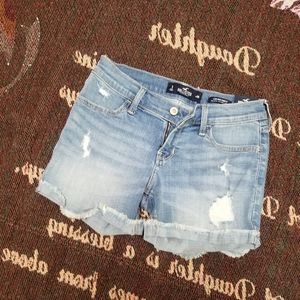 NWT Hollister Shorts